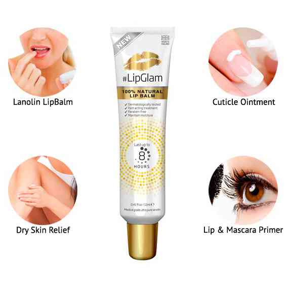 lipglam infographic